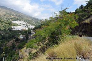 15 ANDALOUSIE - SIERRA NEVADA - TREVELEZ 11 09 2018 (8)